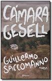 Camara gesell - Planeta
