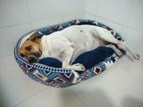 Caminha de Manta em Microfibra Re9casa para Cães e Gatos Estampas Sortidas - Tamanho G