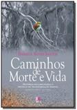 Caminhos de morte e vida: historias esclarecedoras - Besourobox