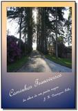 Caminhos transversos - Autor independente