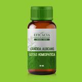 CÂNDIDA ALBICANS - Gotas 30 ml - Farmácia eficácia