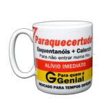 Caneca Divertida Porcelana Paraquecertudo 300ml - Allmix