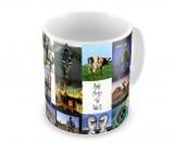 Caneca Pink Floyd Discografia - Artgeek