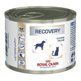 Canine e Feline Recovery Wet 195gr - Cães e Gatos - Royal canin