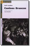 Caninos brancos - Scipione