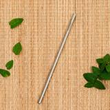 Canudo Aço Inox Reto - BeeGreen