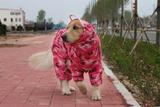 Capa De Chuva Para Cachorro Grande Camuflado Rosa Tórax 105 cm - Cute dog