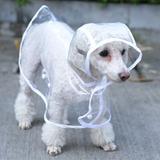Capa De Chuva Transparente Para Cães pequeno porte - Hopet