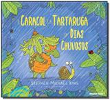 Caracol e a tartaruga em dias chuvosos, o - Brinque book