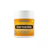 Carnauba Plásticos Revitalizador de Plásticos e Borrachas 350GR - New polish