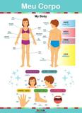 Cartaz Meu Corpo - Edukids