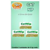Catnip - Erva de Gato - São pet