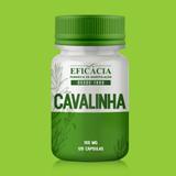 Cavalinha 100mg - 120 Cáps - 30