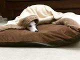 Cave bed box G - cama para cães - King of pets