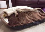 Cave bed box pelúcia M - King of pets
