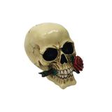 Caveira Decorativa Feita em Resina Para Decorações - Maisaz