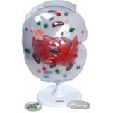 Célula Ampliada Aproximadamente 20.000x, Modelo Anatomia - Anatomic