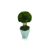 Centro de Mesa Bouquet Topiaria em Cogumelo Natural Verde Médio - Cromus