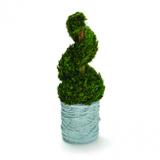 Centro de Mesa Bouquet Topiaria em Espiral Natural Verde Médio - Cromus
