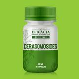 Cerasomosides 60 mg - 30 cápsulas - Farmácia eficácia