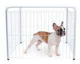 Cercadinho Pet 90cmx90cm Pet Útil - Pet util