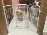 Cercado Pet Delimitador De Espaço Portátil Para Cachorros - Pet util