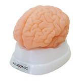 Cérebro em 9 Partes - Anatomic