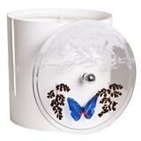 Cesto de Lixo Decorado com Borboleta Branco - Pontto lavabo