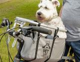 Cesto para cachorro pet-basket até 25kg - Petbasket