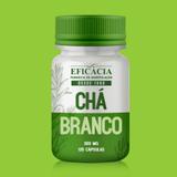 Chá Branco 300mg - 120 Cáps - Farmácia eficácia