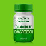 Chamomille Emagrecedor - 60 cápsulas - Farmácia eficácia