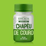 Chapéu de Couro 200 mg - 90 cápsulas - Farmácia eficácia