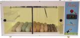 Chocadeira automática box em PVC - Petra - Chocmaster