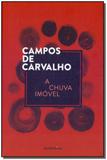Chuva Imóvel, A - Autentica editora