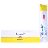 Cicatrizante Ganadol 50G - Fort dodge
