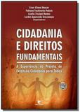 Cidadania e direitos fundamentais :a experiencia d - Unijui
