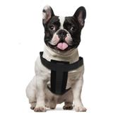 Cinto de Segurança para Cachorros - Petdog