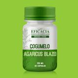 Cogumelo - Agaricus Blazei 250mg - 60 Cápsula - Farmácia eficácia