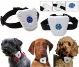Coleira Adestramento Cão. Anti Latido!!! Promoção!!! - Impt
