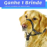 Coleira Cabresto Anti-Puxão 2 - Ganhe BRINDE Pawise