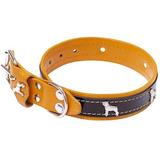 Coleira Couro Bufalo Cachorro Metal Para Caes - Amf pet