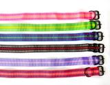 Coleira de nylon para cão diversas cores tamanho 10 - Promaster