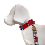 Coleira e Guia para cachorros - Tamanho Médio - Modelo Afrika - Petzoo
