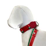 Coleira e Guia para cachorros - Tamanho Pequeno - Modelo Melancia - Petzoo