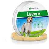Coleira Leevre G 63 cm Ouro Fino