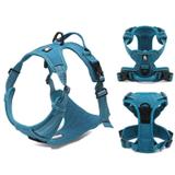 Coleira para cachorro de médio porte Tórax 69-81 cm Azul - Truelove