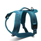 Coleira para cachorro médio grande porte Tórax 70-95 cm Azul - Truelove