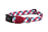 Coleira para cachorro Zee Dog - Estampa Gummy - Tamanho G
