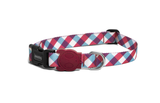 Coleira para cachorro Zee Dog - Estampa Gummy - Tamanho PP
