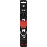 Coleira para cachorro Zee Dog - Estampa Skull - Tamanho M